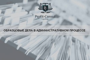 Образцовые дела в административном процессе